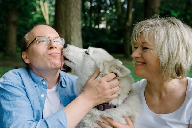 A close-up shot of the 75-year-old volunteer gently petting a rescued dog, showcasing their compassionate interaction and connection.
