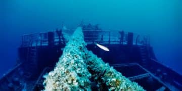 Cleaning the Oceans: The US Teenager's Inspiring Invention - Cover Image