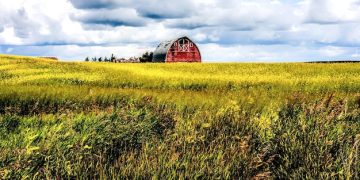 How a Community Saved a Farm From Foreclosure in Under 30 Days - Cover Image