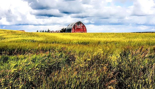 How a Community Saved a Farm From Foreclosure in Under 30 Days