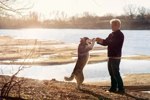 Shelter Dogs Saving Veterans: The US Program with a 95% Success Rate