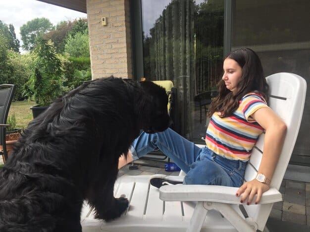 A black labrador service dog sitting calmly next to a veteran in a wheelchair. The veteran is petting the dog, and both appear relaxed and content. The background is a well-lit living room.