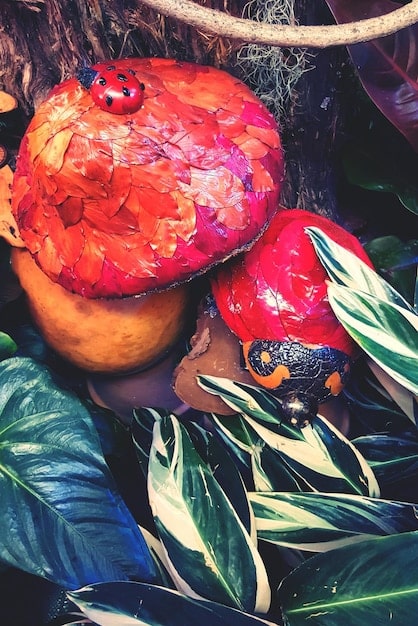 The US Artist Who Saves the Planet with Art