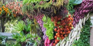 US Community Gardens Combat Food Insecurity: A 25% Reduction - Cover Image