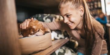 Kindness in Action: Support Your Local Animal Shelters - Cover Image