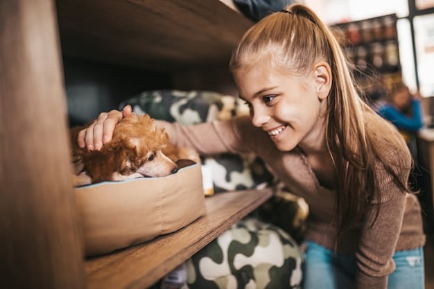Kindness in Action: Support Your Local Animal Shelters