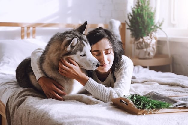 A cozy scene featuring a person cuddling with a contented foster animal in a home setting, portraying the comfort and emotional support provided through fostering.