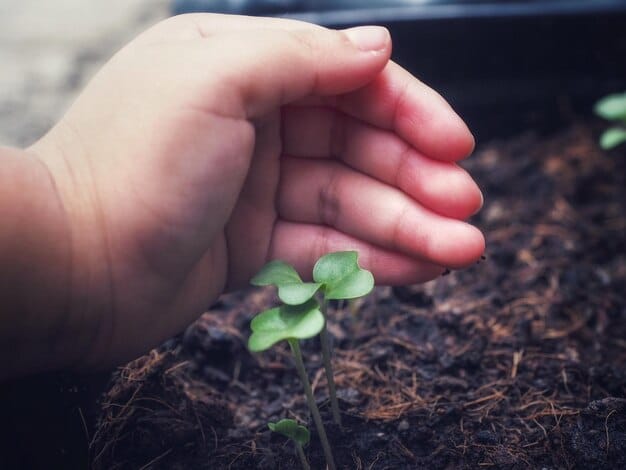A detailed close-up of hands planting a small seedling in fertile soil. The background is blurred, focusing on the act of planting and the promise of growth.