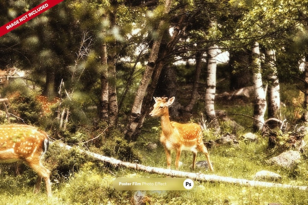 New Wildlife Protection Regulations in the US: What to Expect in 3 Months