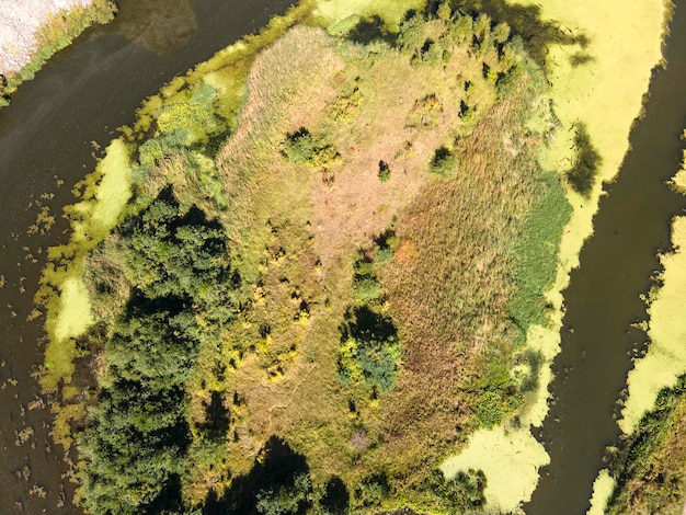 An aerial view of a restored wetland area, showcasing the successful integration of wildlife with the surrounding landscape, illustrating the positive impact of habitat restoration efforts funded by new conservation regulations.