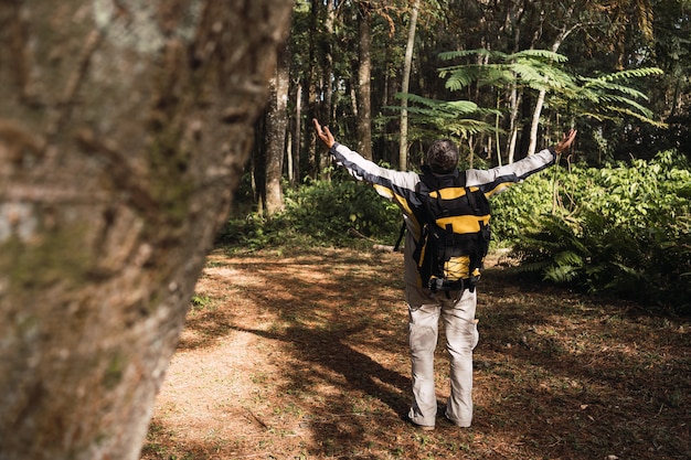 A person is hiking on a well-maintained trail through a lush forest. The person is wearing appropriate hiking gear and appears to be enjoying the physical activity. The scene conveys a sense of adventure and connection with nature.