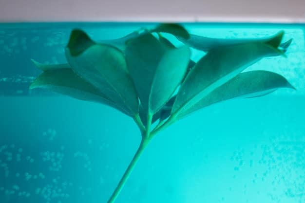 A close-up shot of bioluminescent dinoflagellates in a jar. The water is glowing a bright blue-green color.