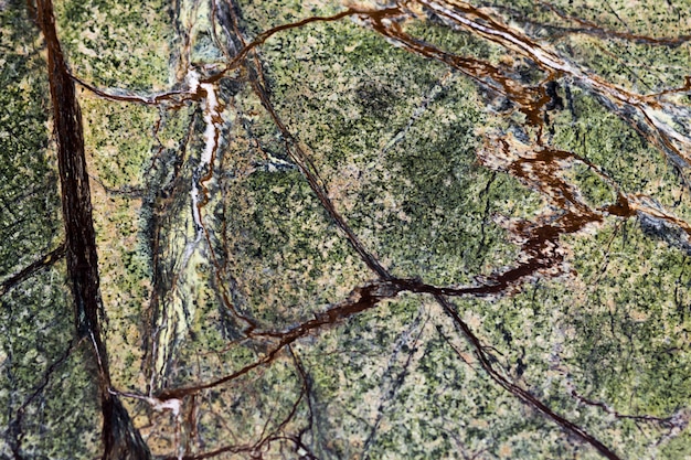 A close-up view of a fragmented forest, showing how a large forest area has been divided into smaller, isolated patches by roads and agricultural land. A bird struggling to fly across the open area between forest patches is visible.