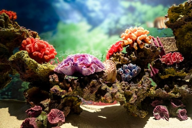 Exploring New Marine Species Discoveries Off the US Coastline