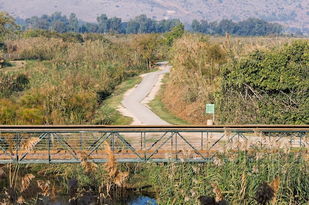 A wildlife overpass bridge spanning a highway in a rural area of the US, vegetated with native plants and equipped with fencing to guide animals safely across. Focus on the design that mimics natural habitat.