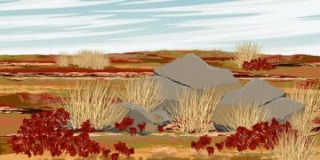 Drought's Impact: How US Wildlife and Ecosystems Suffer - Cover Image