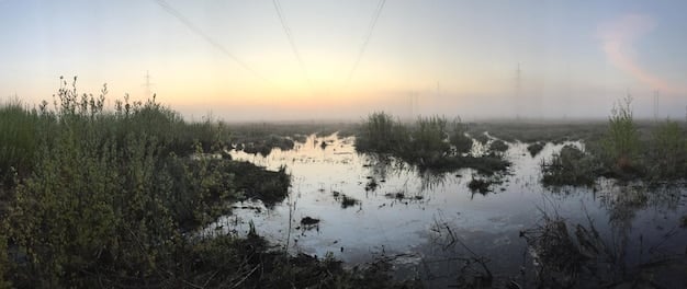 US Coastal Ecosystems: Projected Changes by 2030 Due to Rising Sea Levels