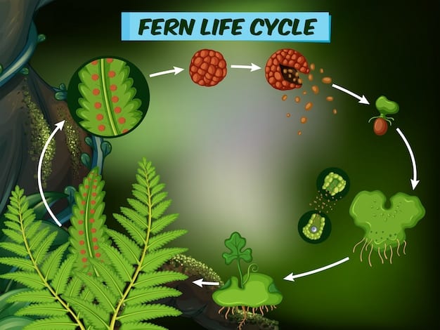 A detailed illustration showing a network of mycelium connecting to the roots of various plants in a forest ecosystem, demonstrating the symbiotic relationship between fungi and plant life.