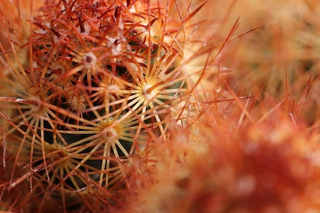 A close-up microscopic image of mycorrhizal fungi colonizing plant roots, showcasing the intricate network of hyphae and the symbiotic relationship between the fungi and the plant.