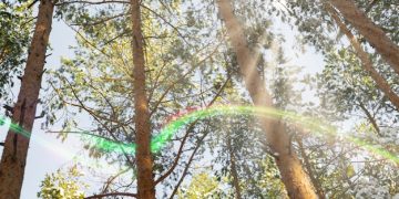 Reduce Your Carbon Footprint: 7 Steps to Protect Nature - Cover Image