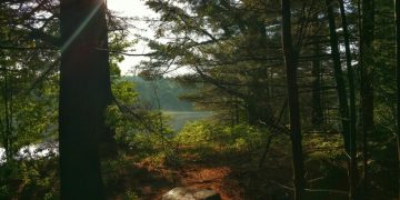 Sustainable Hiking and Camping: Best Practices in US National Forests - Cover Image