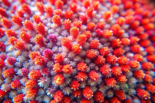 A close-up view of cancer cells under a microscope, vividly colored to highlight different cellular structures and processes. The image conveys both the complexity and the beauty of scientific discovery.