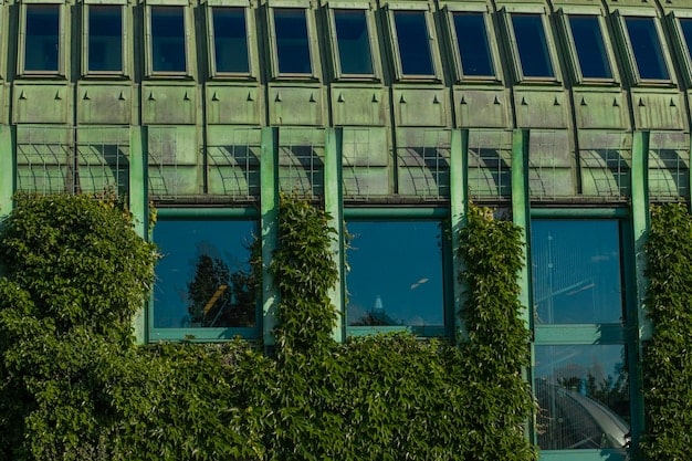 Supreme Court Rulings on Environmental Regulations: Impact on US Business & Energy