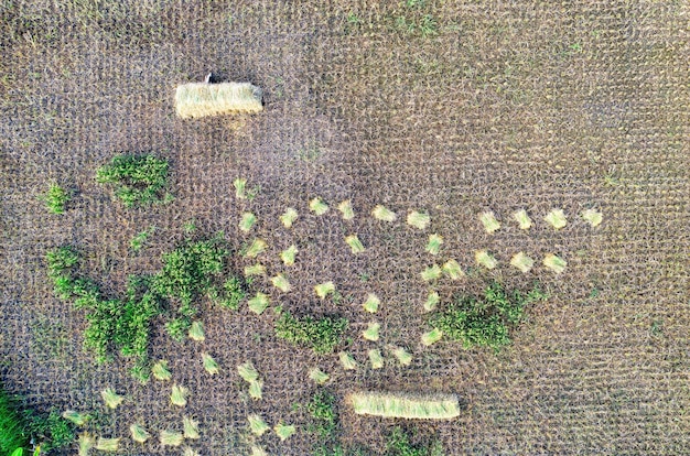 An aerial shot of a patchwork of organic farmland demonstrating crop rotation and healthy soil contrasted with a neighboring conventional monoculture field, highlighting diverse agricultural practices.