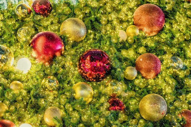 Microscopic view of healthy immune cells interacting, depicting the complexity and defense mechanisms of the human immune system.