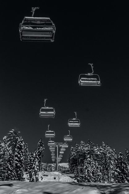 Air Pollution & Respiratory Health: 2025 Insights
