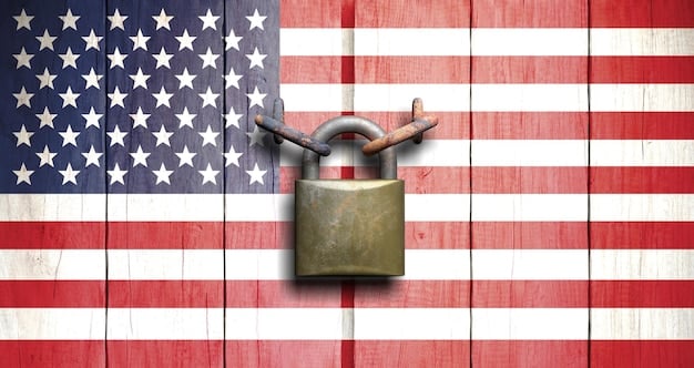 An illustration depicting a padlock securing digital data, with the American flag in the background. The image emphasizes the importance of data protection and privacy for US businesses, as well as the legal and ethical considerations involved.