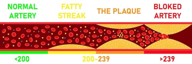 A graphic illustrating the difference between LDL and HDL cholesterol, showing LDL depositing plaque in arteries and HDL removing plaque. The graphic includes labels and brief explanations of each type of cholesterol.